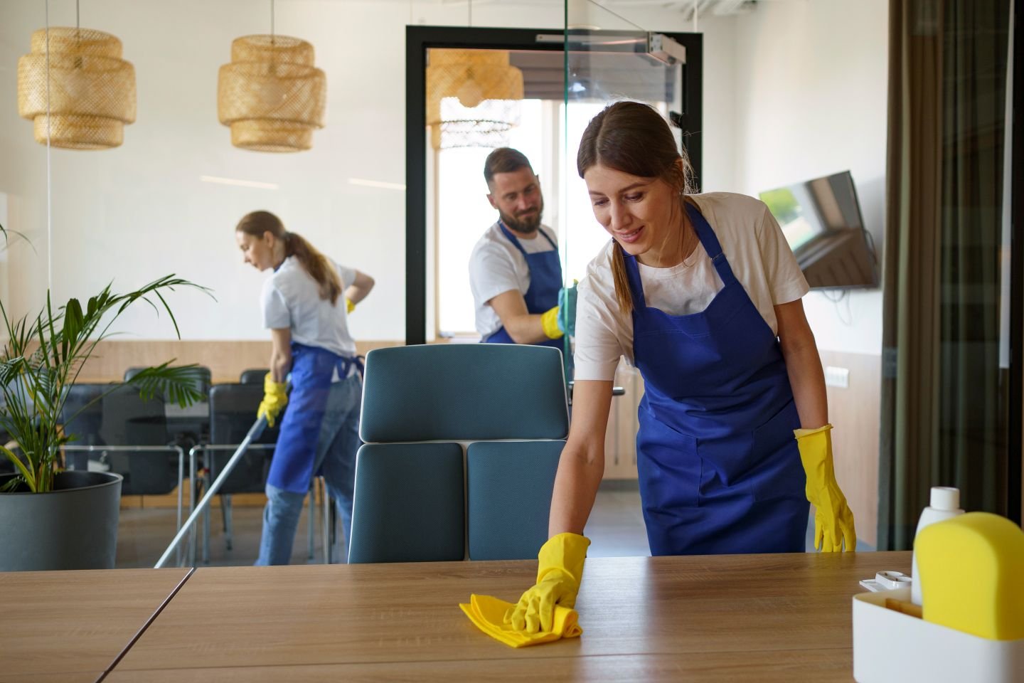  | What to Expect During YourFirst Professional Cleaning Appointment